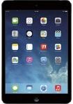 Apple® - iPad® mini Wi-Fi - 16GB - Space Gray